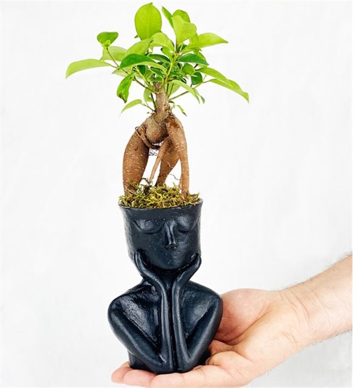 Heykel Saksı bonsai