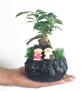 Birlikte Yaşlanalım Bonsai 