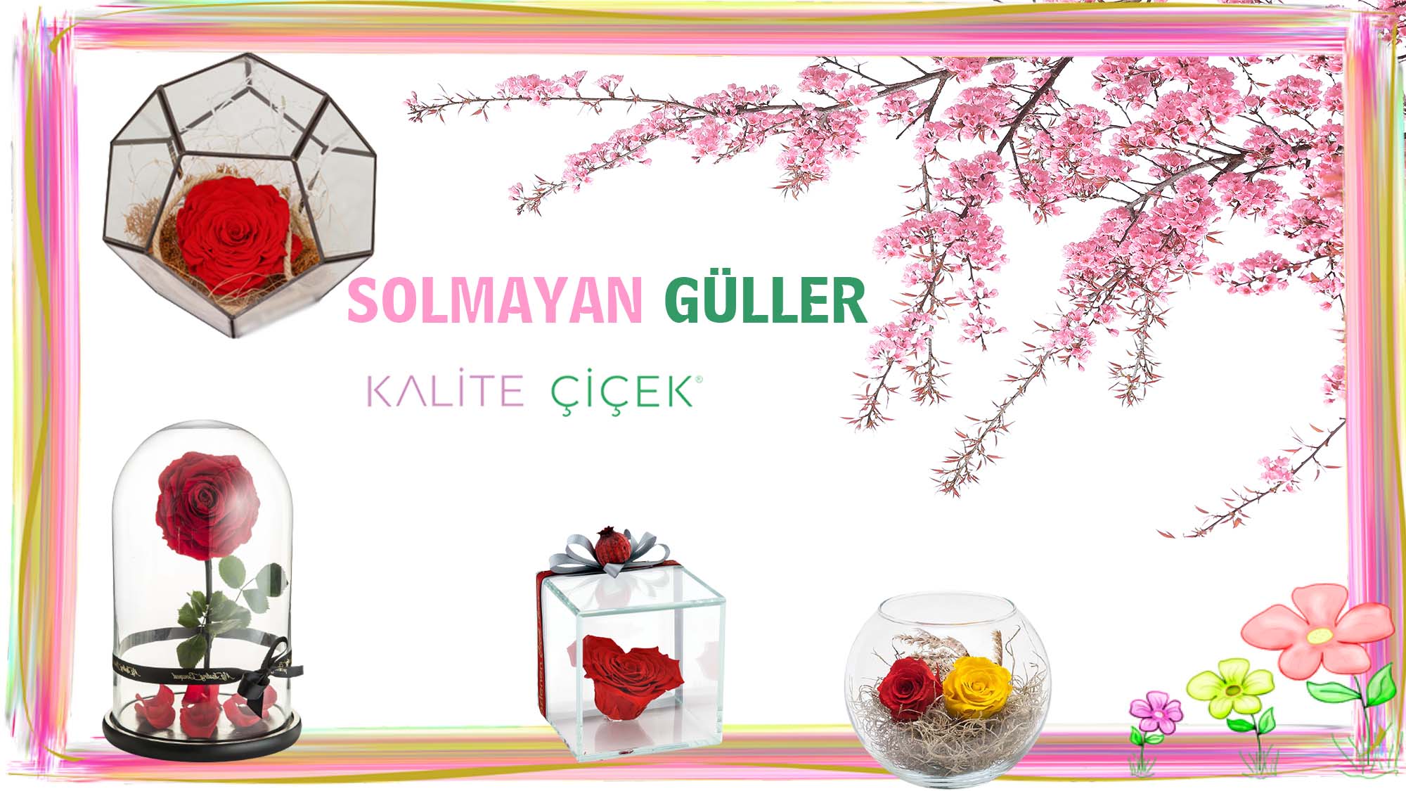 solmayan gül